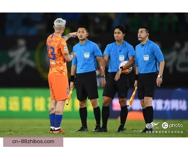 大规模抗议赛场视频助理裁判